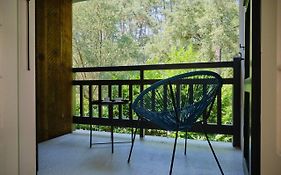 Nid De Ruben, Villa Hostal Naou Hossegor Wifi Netflix Sauna